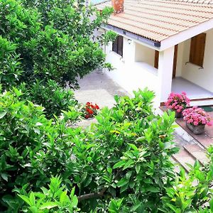 Corbara Casa Delle Rose, Pompei E Amalfi Coast公寓 Exterior photo