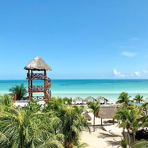 Isla Holbox 太阳棕榈屋旅馆酒店 Exterior photo