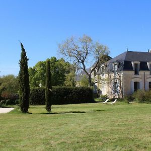 Bossay-sur-ClaiseLes Viollieres住宿加早餐旅馆 Exterior photo