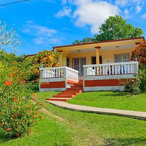 Vinales Casa Papito Y Dania旅馆 Exterior photo