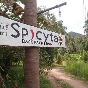 涛岛 Spicytao Backpackers - Adults Only酒店 Exterior photo