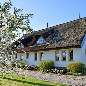 Ferienwohnungen Im Fischerdorf Und Neu Reddevitz Exterior photo