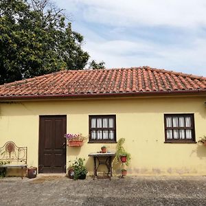 阿尔库什迪瓦尔德维什Quinta Da Imaculada别墅 Exterior photo