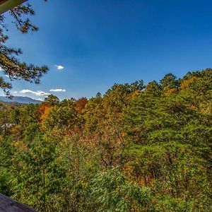 Ladybug Resort Romantic Cabin With Mountain Views, Game Room, Close To Dollywood 塞维尔维尔 Exterior photo