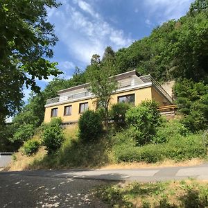 Villa Holgenbach - Penthouse- Und Ferienwohnung Im Nationalpark Eifel 施莱登 Exterior photo