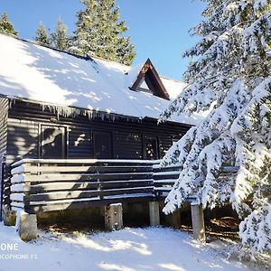 Tree Top Rogla Apartment 茨热塞 Exterior photo