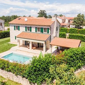 Villa Dracena Mit Privatem Pool Višnjan Exterior photo