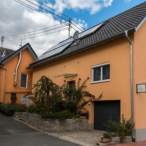 陶博比斯霍夫斯海姆Tauber Relax Loft公寓 Exterior photo