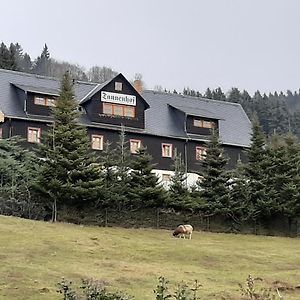 Pension Gaststatte Tannenhof Saupsdorf Exterior photo