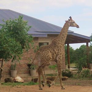 Mkhiweni Villa At Dombeya Wildlife Estate 姆巴巴内 Exterior photo