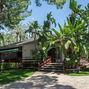 Beautiful Villa With A Dishwasher, Close To Restaurants 瓦伦西亚 Exterior photo