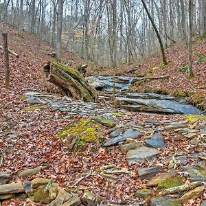 Authentic Creekside Log Cabin With Decks In Ellijay!别墅 Exterior photo