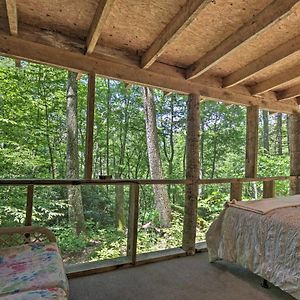 Creekside Cabin With Deck In Pisgah Forest! Barnardsville Exterior photo