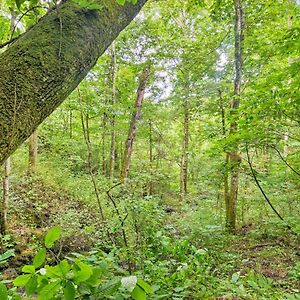 Saint PaulPet-Friendly Castlewood Cabin With Deck And Pond Views别墅 Exterior photo