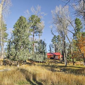 Cozy Colorado Cabin With Deck, Grill And River Access! 布埃纳维斯塔 Exterior photo