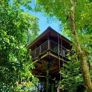 Cairns Rainforest Retreat Exterior photo