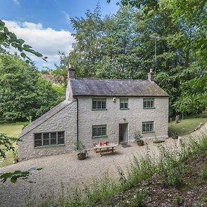 Horsehill Cottage Stoke Abbott Exterior photo