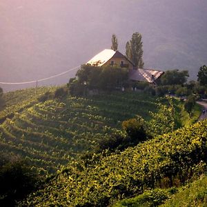 绍萨尔地区基策克Gastehaus-Temmel-Kitzeck住宿加早餐旅馆 Exterior photo