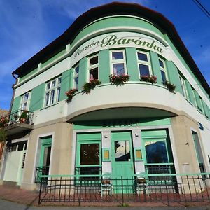 BetliarBaronka Bed & Breakfast & Bistrot住宿加早餐旅馆 Exterior photo