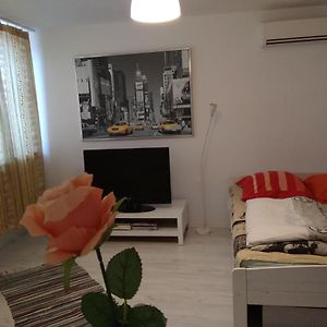 Apartament Jasny Noclegi 普沃茨克 Exterior photo