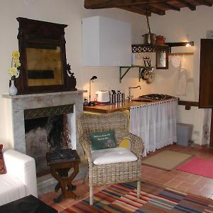 Adorable Tuscan Cottage With Beautiful Garden Just Outside Lucca, Sleeps 4 卡潘诺里 Exterior photo
