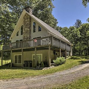 Spacious Home With Deck, Grill And Delaware River View Callicoon Exterior photo