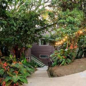 Moon Forest Apartments Monteverde Exterior photo