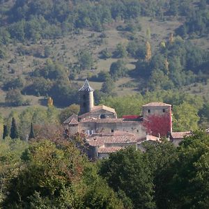 Chateau De Camon Camon  Exterior photo