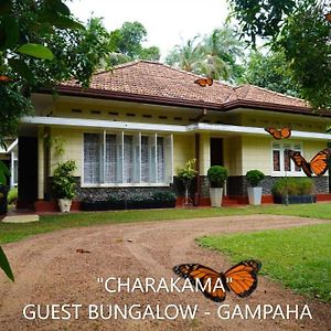 Charakama Guest Bungalow - Gampaha酒店 Exterior photo