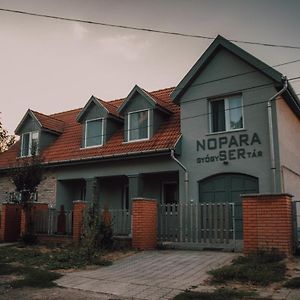 Nopara Gyogysertar Apartman, Sorfozde, Bisztro - Petofi Utca 29 Tiszafüred Exterior photo